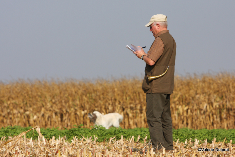 Field Erstein 09 (126).JPG